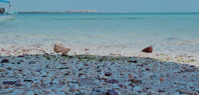 Marsaalam